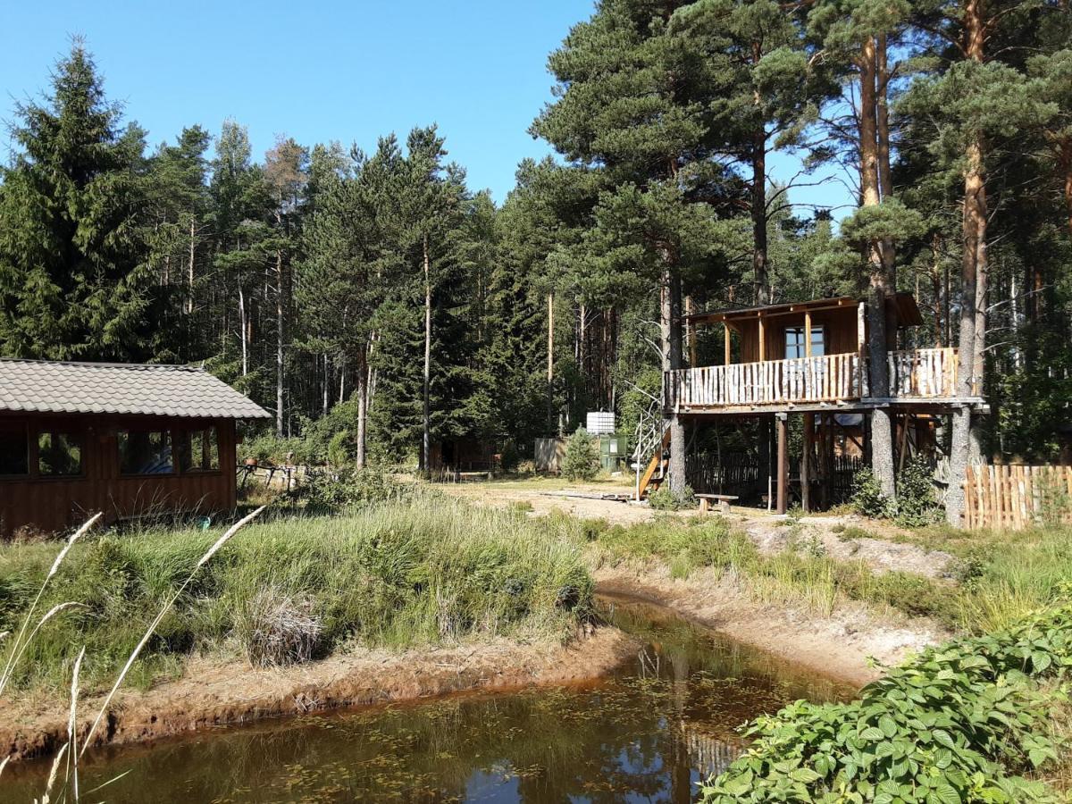 Elulong Camping Lohusuu Exterior photo